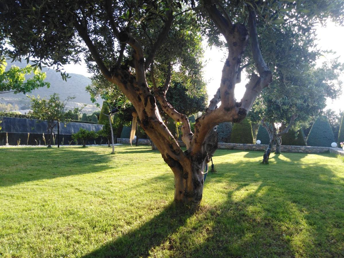 Golden Crest Villa Hersonissos  Dış mekan fotoğraf